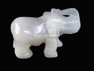 chalcedon, slon