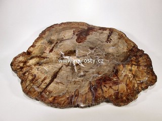 zkamenělé dřevo, řez