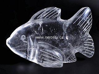 křišťál, ryba