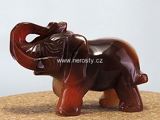 karneol, slon