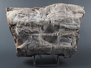 zkamenělé dřevo, opál
