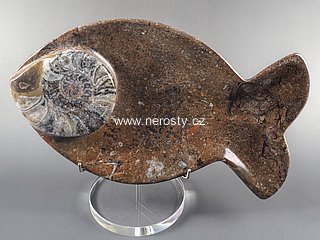 tácek ryba  s fosílií