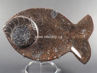 tácek ryba  s fosílií