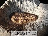 trilobit, termierella