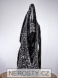 ortoceras