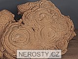 stromatolit